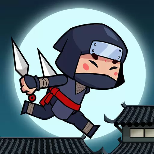 Ninja Stupid 