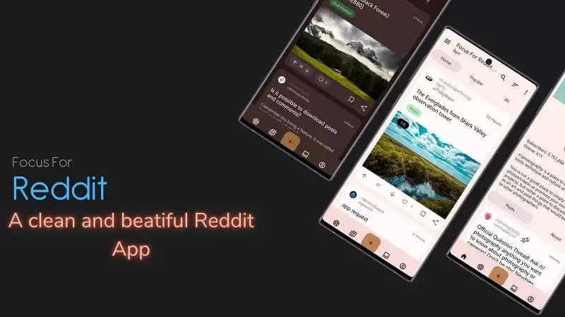 Focus For Reddit 