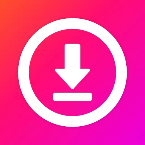 Instagram downloader 